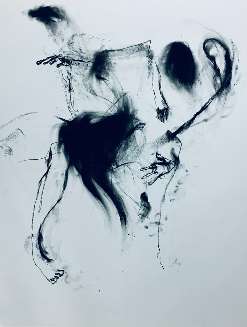 Akiyo Botoh Drawing 10