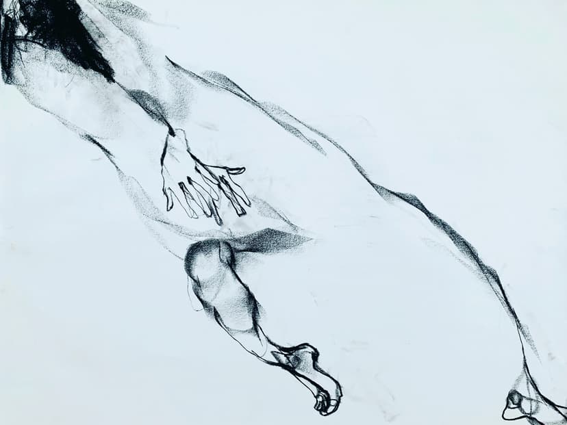 Akiyo Botoh Drawing 2