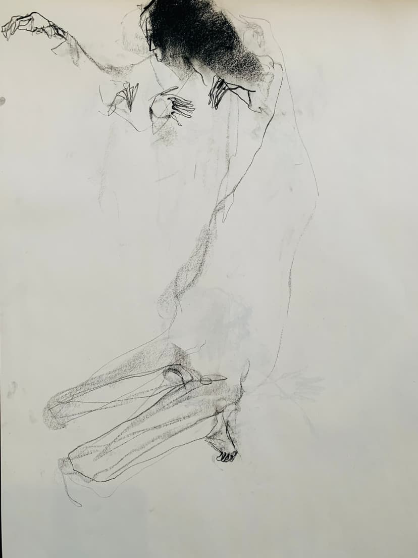 Akiyo Botoh Drawing 9